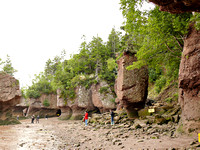 Low tide - Hopewell Rocks
