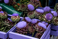 Blossoming Artichokes at the Würzburg Market