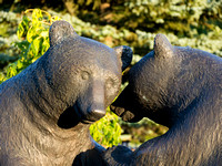"Bear Cubs" by leo Mol