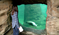 Oregon Coast Aquarium