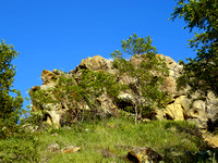 Petroglyph Cliff from below
