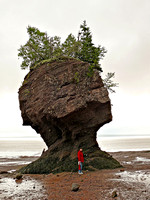 Stop 2a: Bay of Fundy - Hopewell Rocks