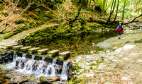 Tollymore Forest Park