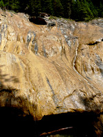 Johnston Canyon - formation of Tufa limestone