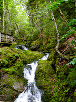 Fundy National Park - Dickson Falls
